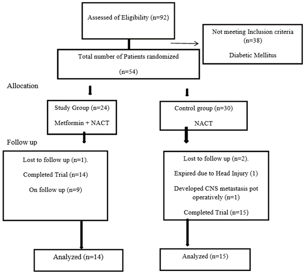 Efficacy of Combining Metformin with Neoadjuvant Chemotherapy on ...