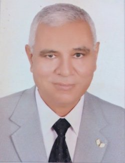 Abdelmonem A. Hegazy Science Repository Editorial Board