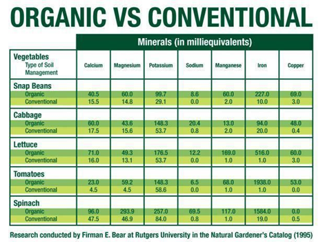 Support Optimal Brain Development With Organic Food